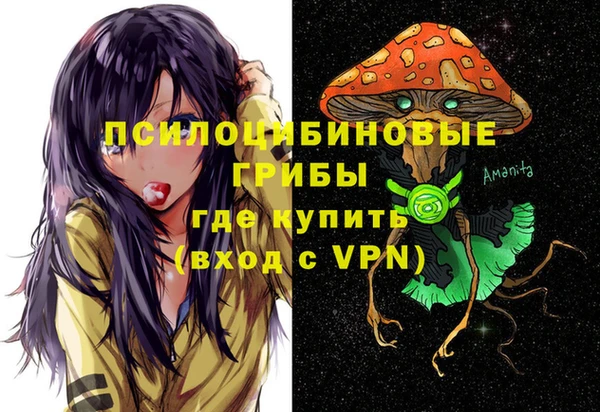 MESCALINE Аркадак